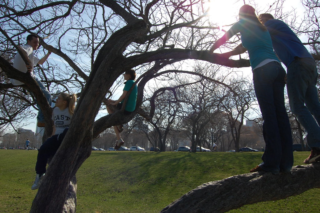 climbing trees pt 2