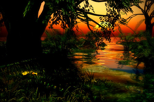 Jungle sunset 2