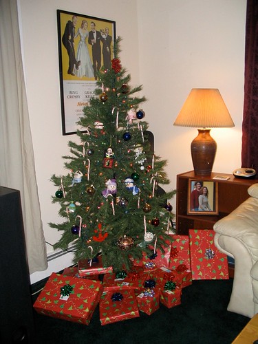 Mine and Chris first Christmas tree in our first apartment (2005)
