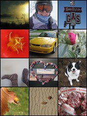 Some of my favorites from the 366-1 project