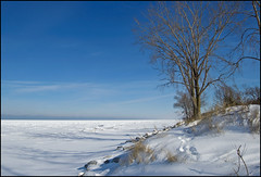 Sunny Winter Day Along Lake Michigan