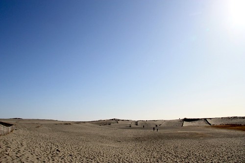 中田島砂丘-Nakatajima Dune