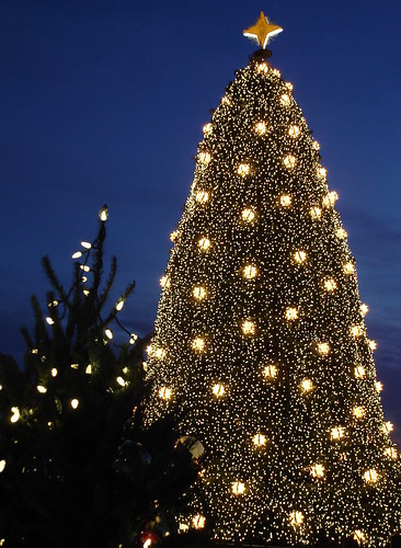 Summer-Duckie님이 촬영한 National Christmas Tree- 2008.
