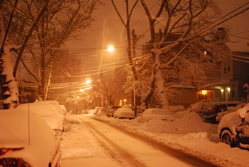 Winter Nights 2010