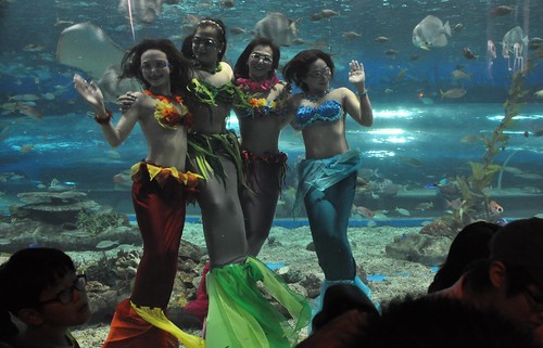Ocean Park Manila mermaids