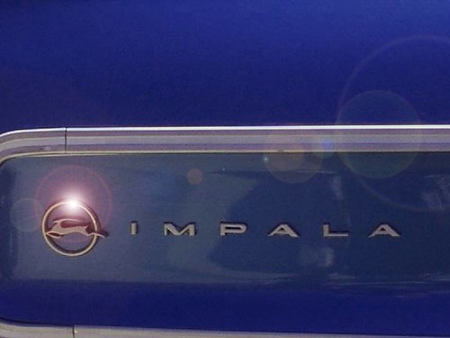 Impala Logo by Lucia1031