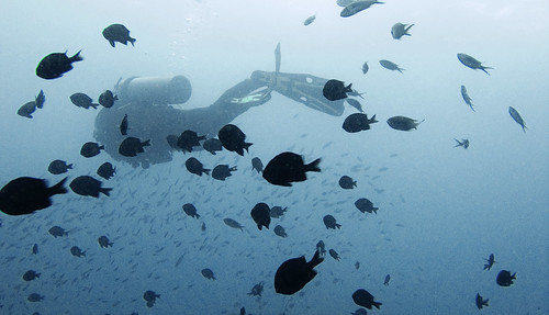 Underwater Gulf of Thailand - White Rock 01