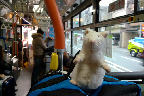 Onboard Kyoto city bus