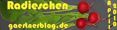Garten-Koch-Event April: Radieschen [30.04.2010]