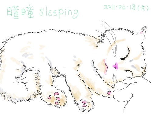 20110618瞳瞳sleeping~1