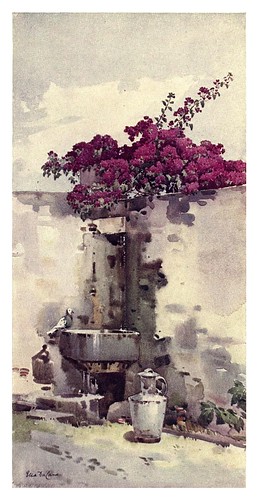 001- Una fuente para beber-The flowers and gardens of Madeira - Du Cane Florence 1909