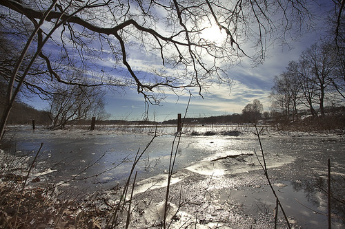 Flooded and iceed Ilmenau meadow #1