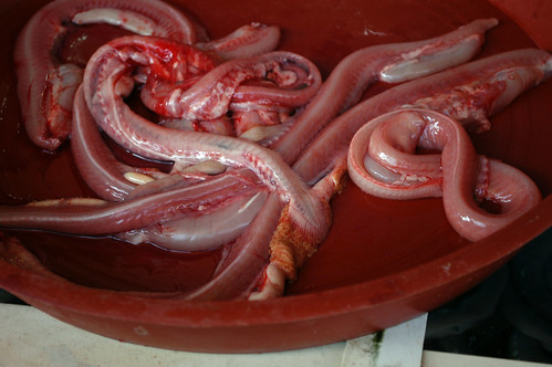 Image result for hagfish recipe