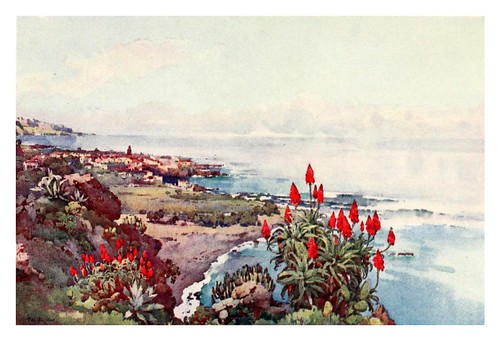 029-Puerto de la Orotava-The Canary Islands (1911) -Ella Du Cane