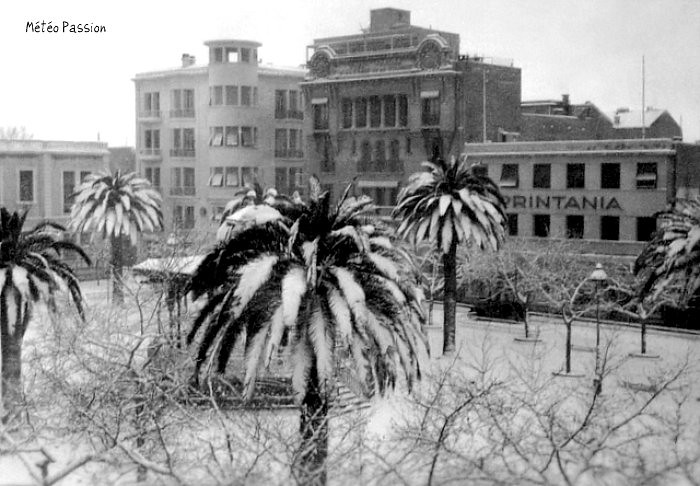 chute de neige à Sidi Bel Abbès les 1 et 2 février 1954