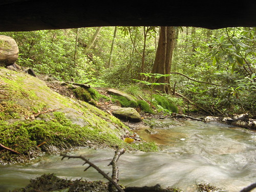Creek near Roaring Fork