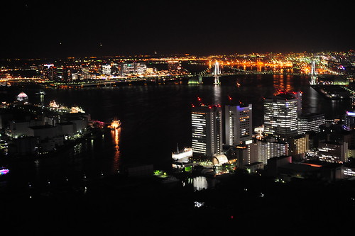Bridview of Downtown Tokyo