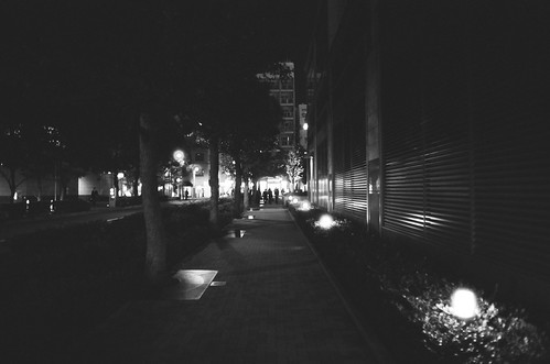 Night Path