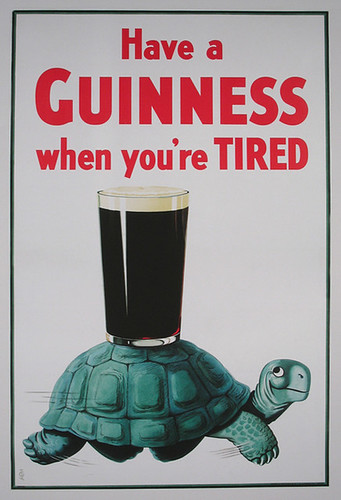 guinness-turtle-tired
