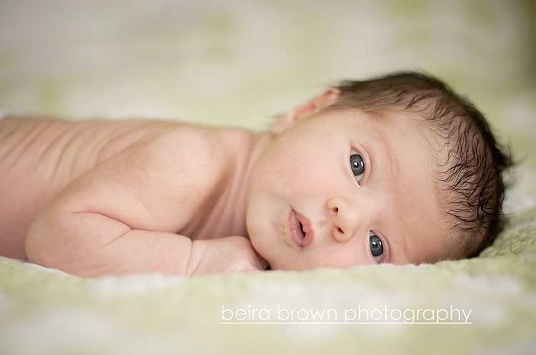 Newborn Brown Eyes