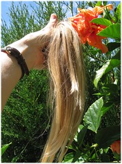 1702_ponytail