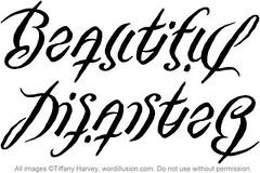 "Beautiful Disaster" Ambigram