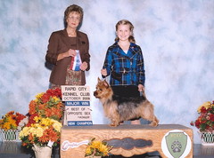 New Champion!  Dakota shown by owner/handler Ellie age 10.