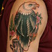 Eagle Cover up
