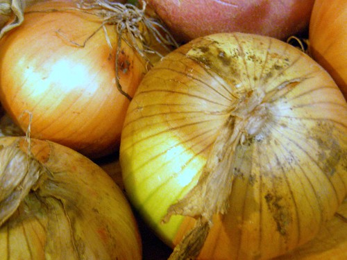 Mat-Su Valley onions