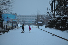 Jocs de neu al campus