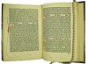 Manuscript initials and capital strokes in Michael Scotus: Liber physiognomiae (Sp Coll Ferguson Al-b.16)