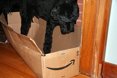 Skippy's Amazon box 084