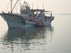 990419救援人員以船運至外海進行野放。林務局保育組提供。
