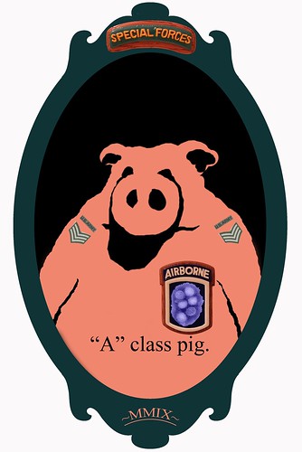 Airborn pig, class A