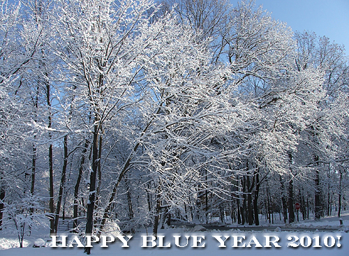 Happy Blue Year 2010