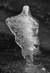 Miniature Ice Sculpture 1