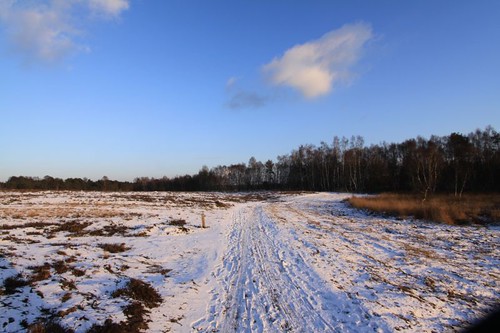 It was a beautiful winter day in Ter Molen...