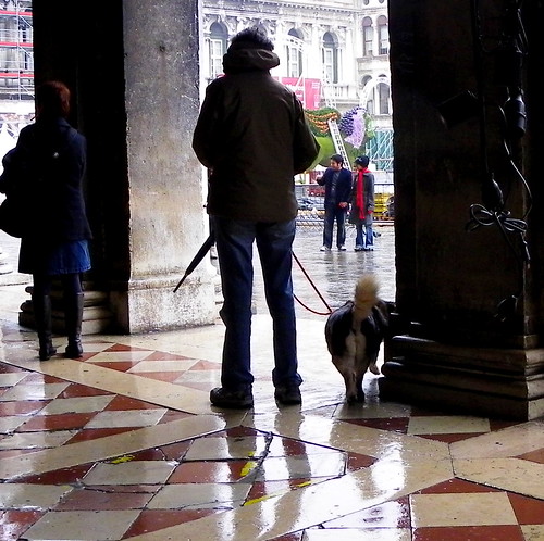 Venice - Walking The Dog