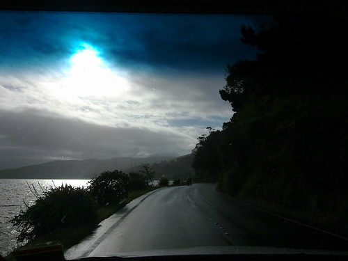 Winding Dunedin road with electric blue sunlight