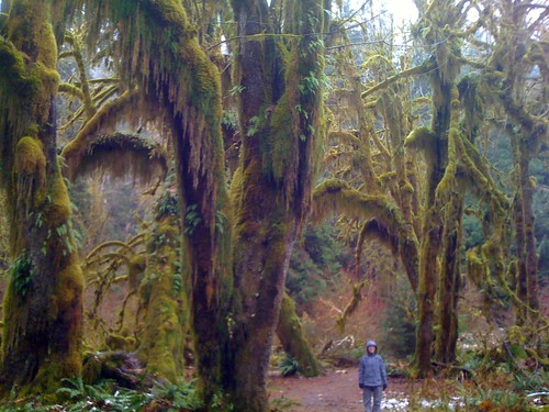 Emily in the Hall of Mosses, Hoh Rain Forest