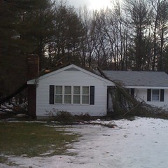 Storm damage neighbor