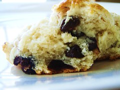 18 - english cream raisin scones
