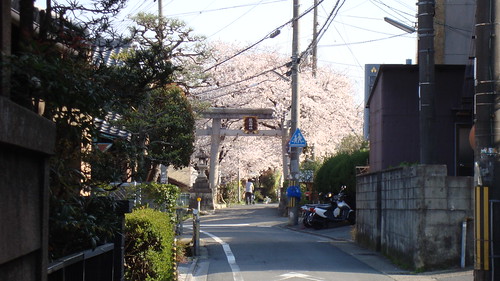2010/04 花山稲荷神社 #01
