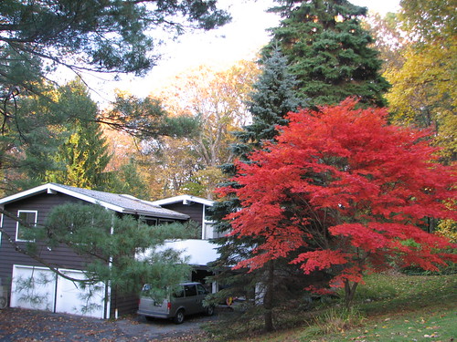 Hartwell house in Pleasantville with fall foliage