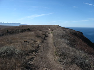 Between Cavern Point, Potato Harbor, and Scorpion Ranch, Santa Cruz Island, Channel Islands National Park, California (25)