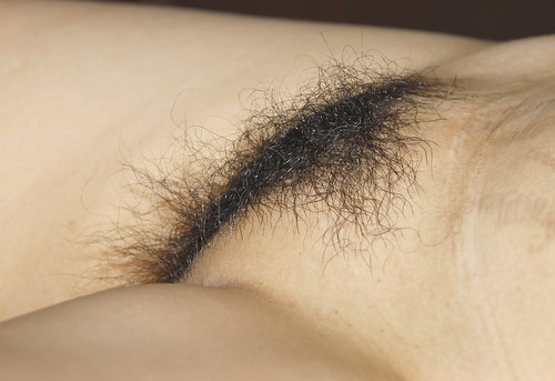 hairy nice mature pussy shaved pics: hairypussy