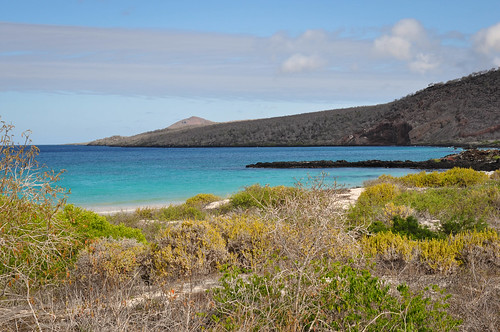 galapagos - island of dreams - DSC_9295.jpg