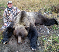 The sport hunting of grizzlies occurs every spring and fall in BC
