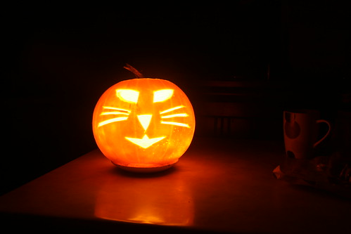 Pumpkin Cat Halloween 2009