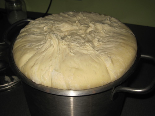 dough warming up and rising